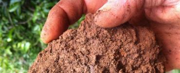Почва примеры. Как образовалась почва? Образование почвы: условия, факторы и процесс. Процесс формирования почв